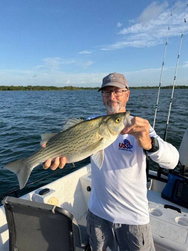 Smiling angler in cap and glasses holding a striped bass on a boat with mangroves in background