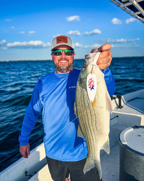 Smiling angler in blue shirt holding a striped bass on a boat under a sunny sky