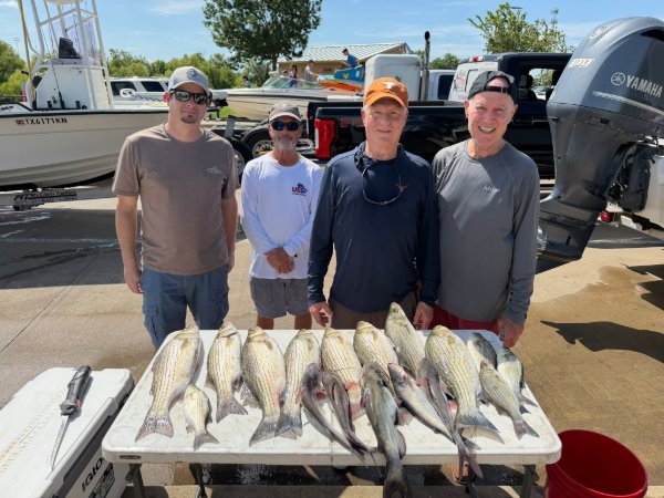 Four smiling anglers standing behind a table displaying their striped bass catch from a fishing charter
