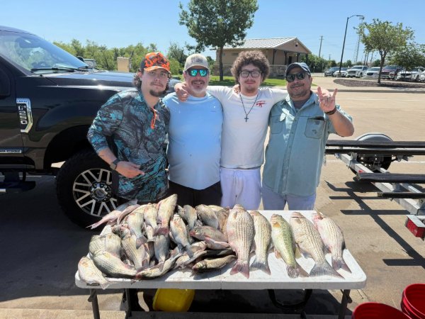 Four smiling anglers standing behind a table full of white bass catch on a sunny day