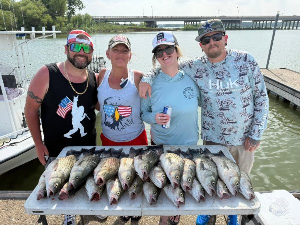 Four smiling anglers standing behind a table full of freshly caught striped bass at the marina dock