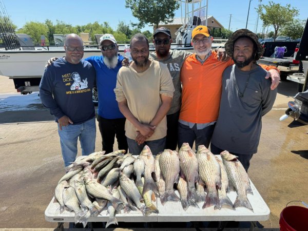 Six smiling anglers posing behind a table full of freshly caught striped bass