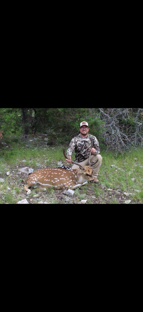 Hunter in camouflage kneeling beside a harvested axis deer with antlers in a grassy wooded area