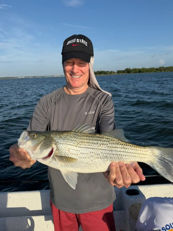Smiling man in Ohio State cap holding a large striped bass on a fishing boat