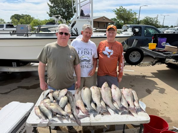 Three smiling anglers standing behind a table full of striped bass catch at the dock