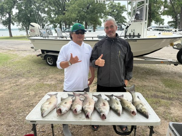 Two anglers giving thumbs up behind a table of freshly caught striped bass with boat in background